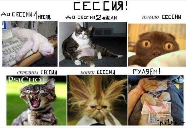 Зимняя сессия ВКГТУ